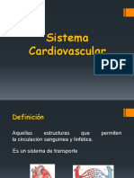 sistema cardiovascular