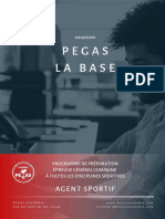 Programme PEGAS La BASE
