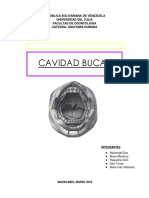 Cavidad Bucal (Anatomia)