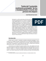 1_SOSA_SACIO_Juan_Manuel_Tutela_del_contenido_constitucionalmente_protegido.pdf