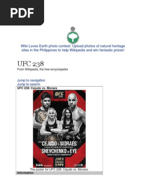 UFC 238