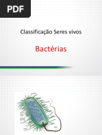 Bacterias
