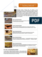 Bearded Dragon Periodontal Disease-Aurora Animal Hospital