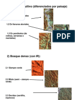 1) Áreas de Cultivo (Diferenciados Por Paisaje)