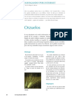 Orzuelo PDF