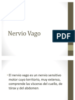 54041456-Nervio-Vago