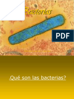 Bacterias