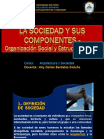 Sociedad,Componentes,Organizaciòn Social y Estructura Social