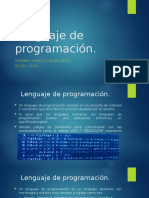 Lenguaje de Programacion