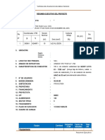 Resumen Ejecutivo RP