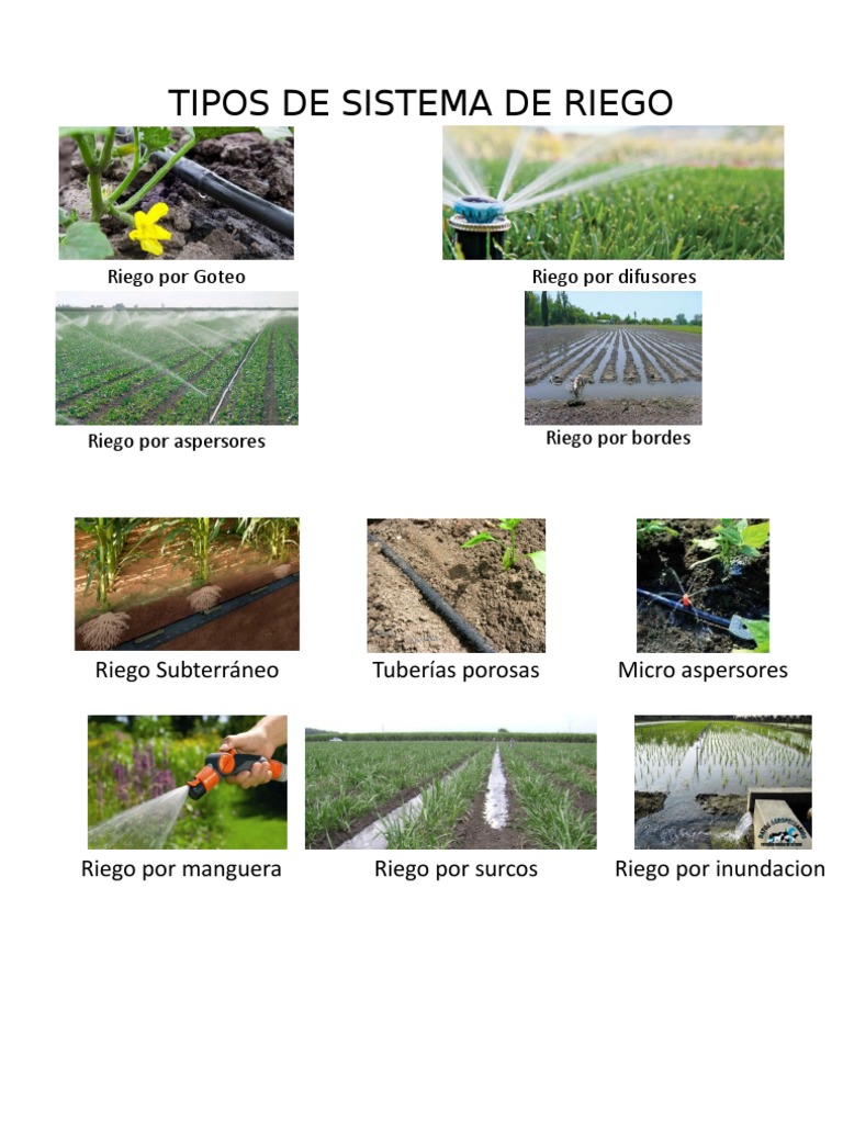 Copia de Tipos de Sistema de