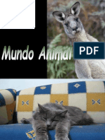 Mundo Animal