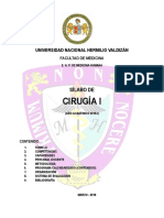 SILAB0-CIRUG_A-I-2018.pdf