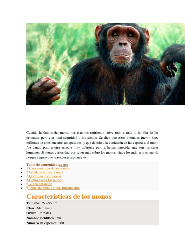 El Planeta De Los Simios En Orden Monos | PDF | Mamíferos | Homo Sapiens