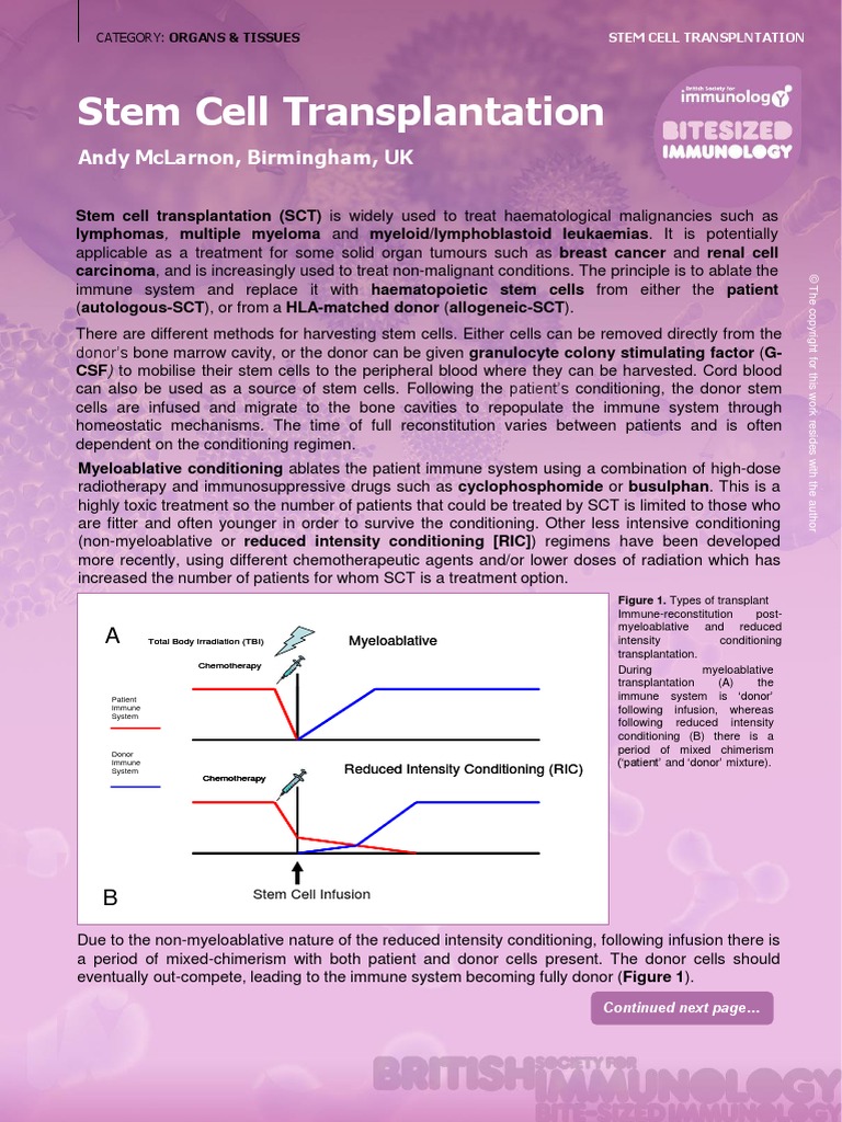 Stem Cell Transplantation | PDF | Hematopoietic Stem Cell ...