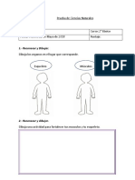 Prueba de Ciencias Naturales Tia Elena