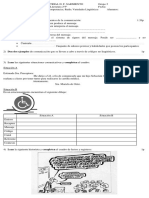 Prueba 2°5° Tema2.docx