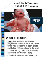 Labor and Birthing Process