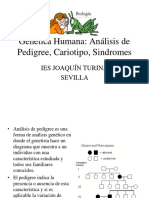 8_pedigree2_y_cariotipo.pdf