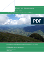 O Meio Ambiente em Mocambique PDF