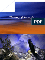The Eagle's Painful Process of Renewal