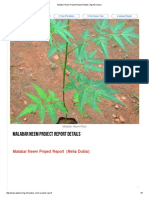357356488-Malabar-Neem-Project-Report-Details-Agrifarming.pdf