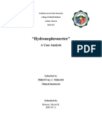 "Hydronephroureter": A Case Analysis