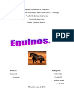 Zootecnia General - Equino