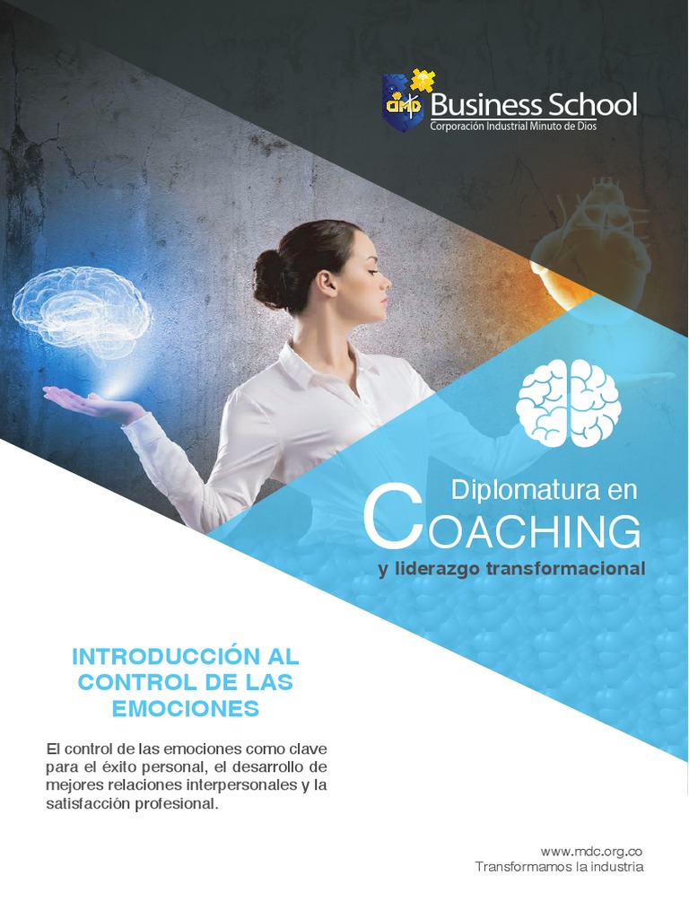 Manual Inteligencia Emocional | PDF | Inteligencia | Las emociones