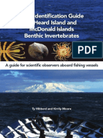 HIMI Benthic Invertebrate Field Guide