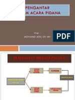 Pengantar Hukum Pidana