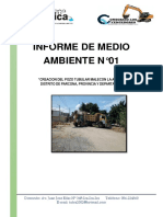 Informe de Medio Ambiente 