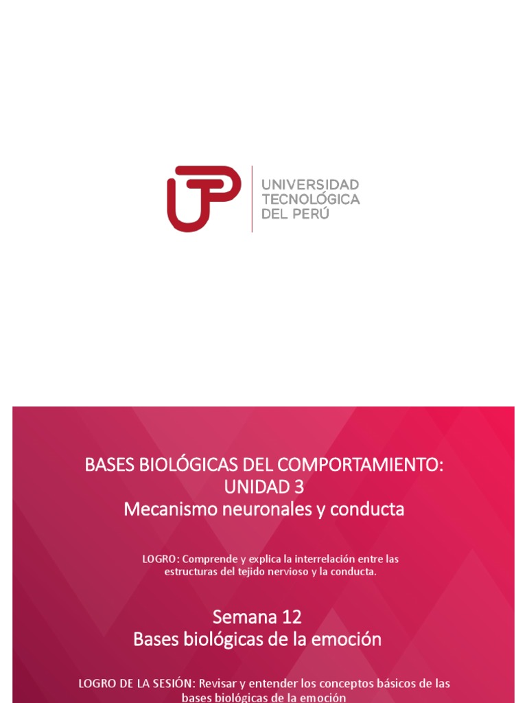 Bases Biológicas de la Emoción y Conducta | PDF | Experiencia subjetiva ...