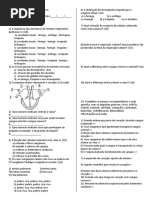 Respiratório e Circulatorio - 8ano