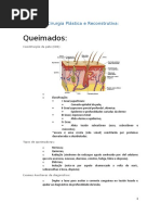 Serviço de Cirurgia <fezgrbfxhnclástica e Reconstrutiva