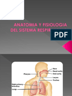 Anatomia Respiratoria