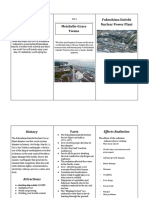 Mei Twano - Fukushima Daiichi Radiation Brochure