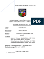 Informe Saponificacion