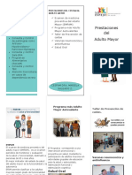 triptico ADULTO MAYOR.docx