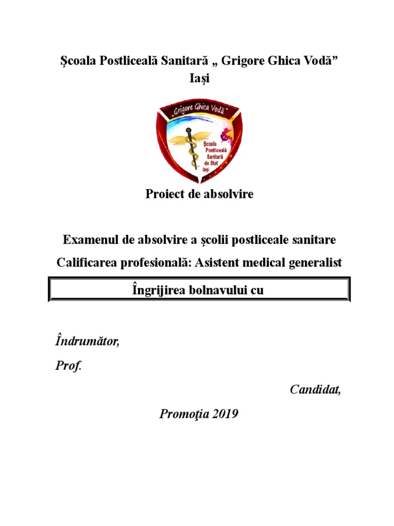 Licenta Format | PDF