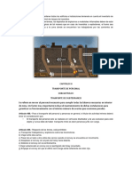 Informe Legislacion