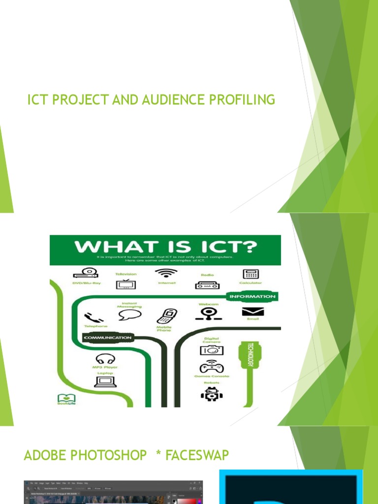 ICT Project Audience Profiling Guide | PDF | Brand | Behavioural Sciences