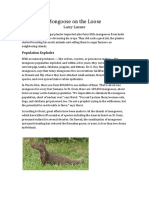 Mongoose Expert Studies Elusive Species