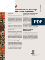 Documentation of Traditional Knowledge and Traditional Cultural Expressions