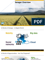 SAP - Solution Manager - Functional-Overview PDF
