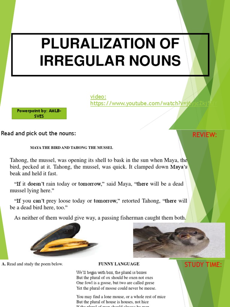 Irregular Nouns Pluralization Guide | PDF | Plural | Mouse