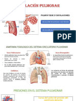 Circulacion Pulmonar