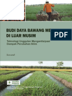 Budidaya Bawang Merah