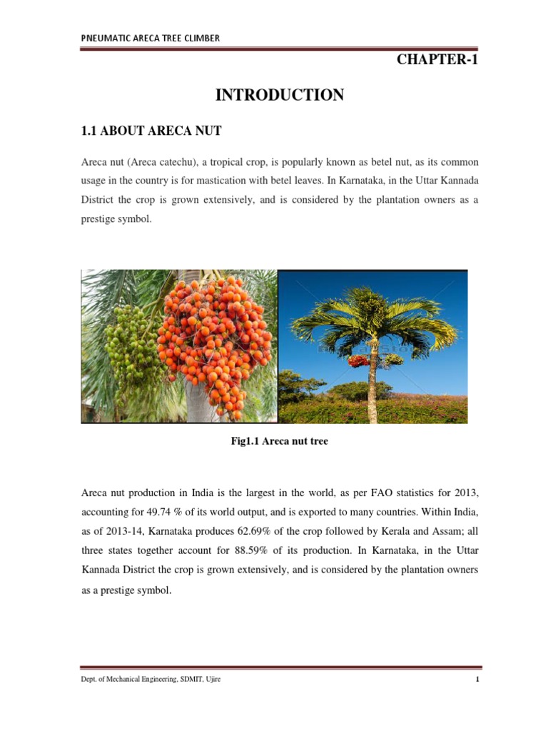 Project Report PDF Pneumatics Valve