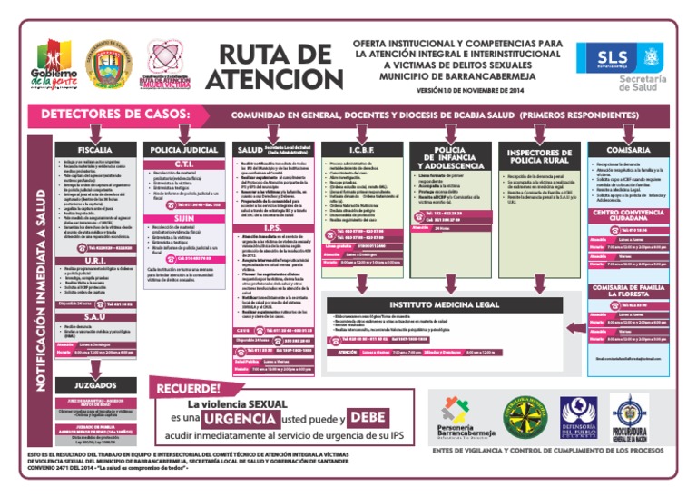 Ruta de Atención a Víctimas de Violencia Sexual | PDF | Policía | Violencia